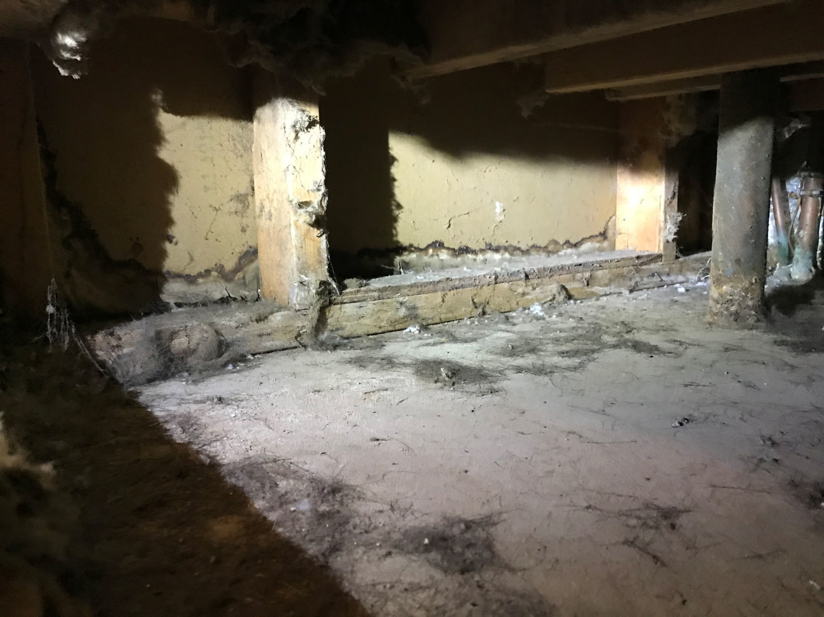 Mold damage is pictured in the house of senior airman Abigaila Courtney at Tinker Air Force Base, Oklahoma, U.S. in this handout photo